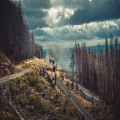 Waarom kiezen voor de trein om mee op vakantie te gaan?