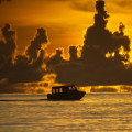 Op vakantie naar Suriname? Lees deze 6 tips!