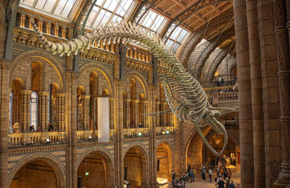 Een stedentrip naar Londen? Deze 7 bezienswaardigheden mag je niet missen!
