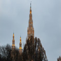 Wanneer is het het rustigst op de kerstmarkt voor het Rathaus in Wenen in december 2026