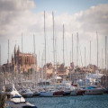 Ca'n Picafort op Mallorca: 5-daagse itinerary en reistips